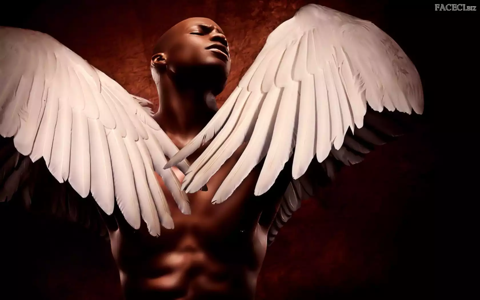 Anioła, Mężczyzna, Skrzydła